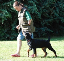 Obedience with Anneli DSC 0637